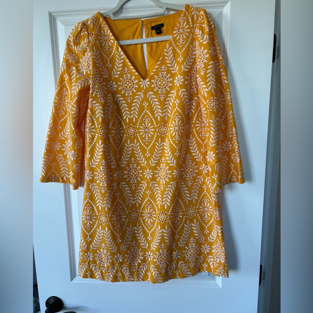 Ann Taylor Eylet Lined Shift Dress